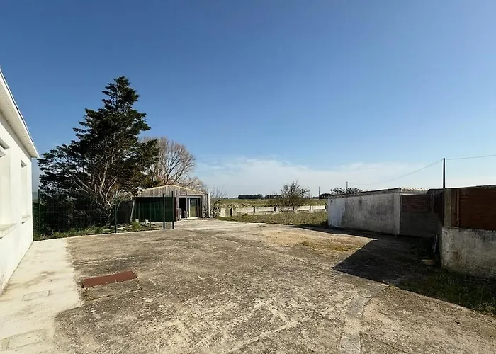 L'echappee Bouin (Vendee)